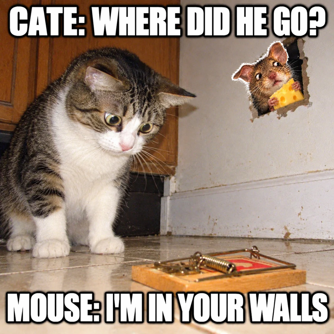 Cat finds the empty trap while Mouse peeks through the wall with cheese