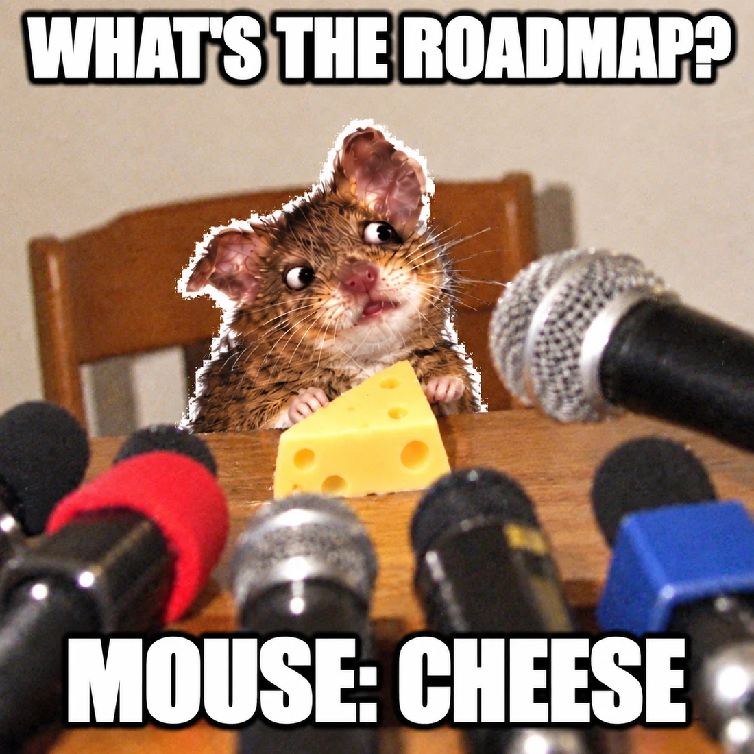 Mouse at a press conference with cheese and many microphones